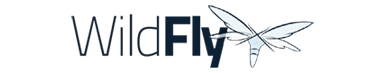 Servidor de aplicaciones WildFly